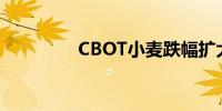 CBOT小麦跌幅扩大至2%