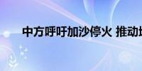 中方呼吁加沙停火 推动地区局势降温