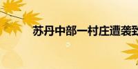 苏丹中部一村庄遭袭致80人死亡
