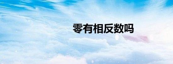零有相反数吗