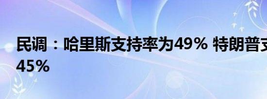 民调：哈里斯支持率为49% 特朗普支持率为45%