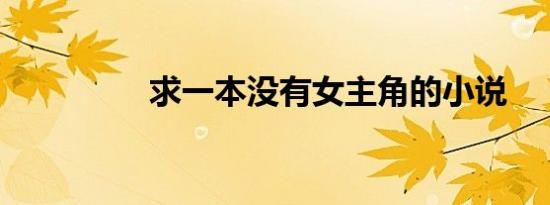 求一本没有女主角的小说
