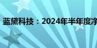 蓝黛科技：2024年半年度净利润增长31.2%