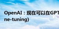 OpenAI：现在可以在GPT-4O上使用微调(Fine-tuning)