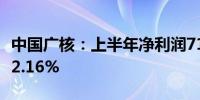 中国广核：上半年净利润71.09亿元 同比增长2.16%