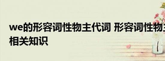 we的形容词性物主代词 形容词性物主代词的相关知识