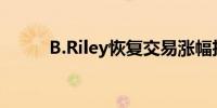 B.Riley恢复交易涨幅扩大至12%