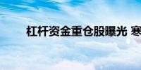 杠杆资金重仓股曝光 寒武纪-U居首