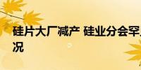 硅片大厂减产 硅业分会罕见未披露开工率情况
