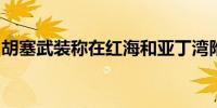 胡塞武装称在红海和亚丁湾附近袭击两艘船只