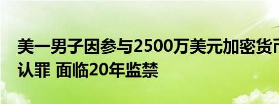 美一男子因参与2500万美元加密货币洗钱案认罪 面临20年监禁