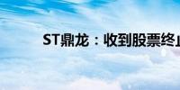 ST鼎龙：收到股票终止上市决定