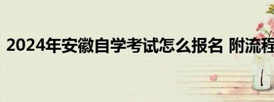 2024年安徽自学考试怎么报名 附流程+入口