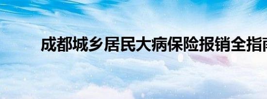 成都城乡居民大病保险报销全指南