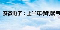 赛微电子：上半年净利润亏损4266.79万元