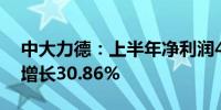 中大力德：上半年净利润4354.19万元 同比增长30.86%