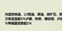 内盘棕榈油、LU燃油、原油、铁矿石、焦炭、燃料油、集运欧线期货主力收盘涨超3%沪银、热卷、螺纹钢、沪铅、焦煤、国际铜、沪铜涨超2%苹果期货跌超2%