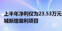 上半年净利仅为23.53万元 专家建议大唐不夜城新增盈利项目