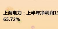 上海电力：上半年净利润13.27亿元 同比增长65.72%
