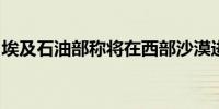 埃及石油部称将在西部沙漠进行新的石油勘探