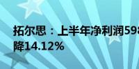 拓尔思：上半年净利润5981.16万元 同比下降14.12%