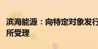 滨海能源：向特定对象发行股票申请获得深交所受理