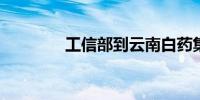 工信部到云南白药集团调研