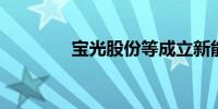 宝光股份等成立新能源公司