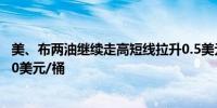 美、布两油继续走高短线拉升0.5美元现报76美元/桶和79.30美元/桶