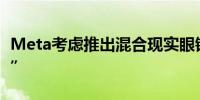 Meta考虑推出混合现实眼镜内部代号“海鹦”