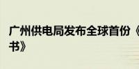 广州供电局发布全球首份《电氢协同发展蓝皮书》