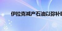 伊拉克减产石油以弥补欧佩克+配额