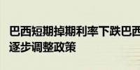 巴西短期掉期利率下跌巴西央行行长内托提到逐步调整政策