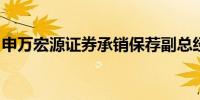 申万宏源证券承销保荐副总经理王昭凭被留置