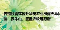 养殖股震荡拉升华英农业涨停天马科技、龙大美食、正虹科技、罗牛山、巨星农牧等跟涨