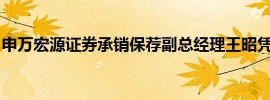 申万宏源证券承销保荐副总经理王昭凭被留置