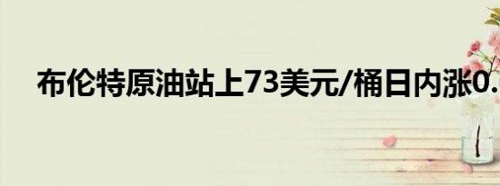 布伦特原油站上73美元/桶日内涨0.63%