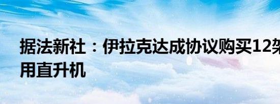 据法新社：伊拉克达成协议购买12架空客军用直升机