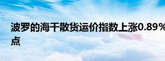 波罗的海干散货运价指数上涨0.89%报1919点