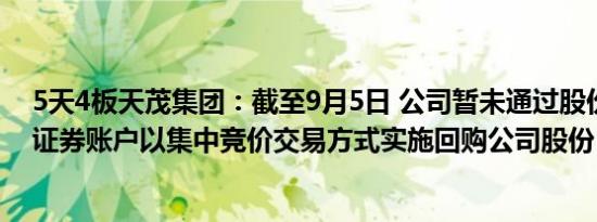 5天4板天茂集团：截至9月5日 公司暂未通过股份回购专用证券账户以集中竞价交易方式实施回购公司股份