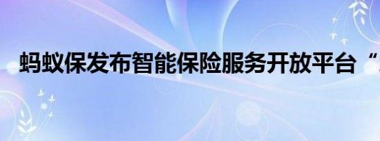 蚂蚁保发布智能保险服务开放平台“蚁桥”