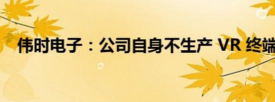 伟时电子：公司自身不生产 VR 终端产品