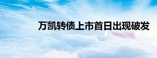 万凯转债上市首日出现破发