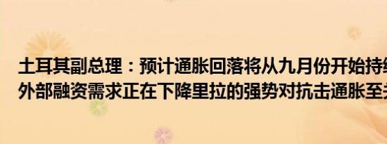 土耳其副总理：预计通胀回落将从九月份开始持续土耳其的外部融资需求正在下降里拉的强势对抗击通胀至关重要