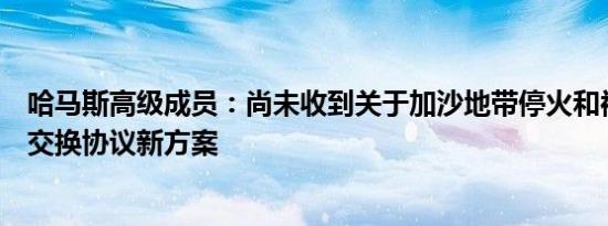 哈马斯高级成员：尚未收到关于加沙地带停火和被扣押人员交换协议新方案