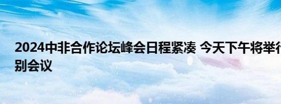 2024中非合作论坛峰会日程紧凑 今天下午将举行四场高级别会议