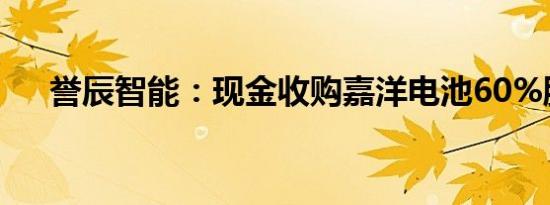 誉辰智能：现金收购嘉洋电池60%股权