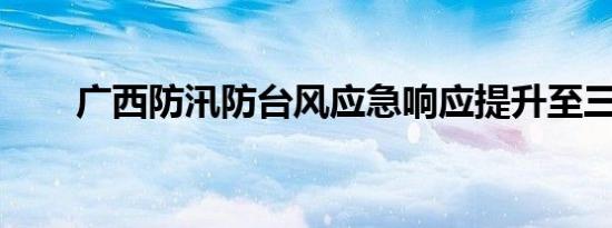 广西防汛防台风应急响应提升至三级