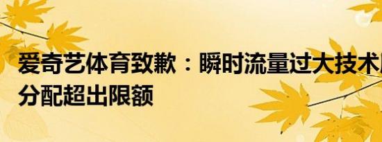 爱奇艺体育致歉：瞬时流量过大技术服务资源分配超出限额