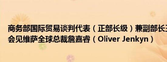 商务部国际贸易谈判代表（正部长级）兼副部长王受文在京会见维萨全球总裁詹嘉睿（Oliver Jenkyn）